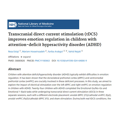 ADHD Estaji et al 2024