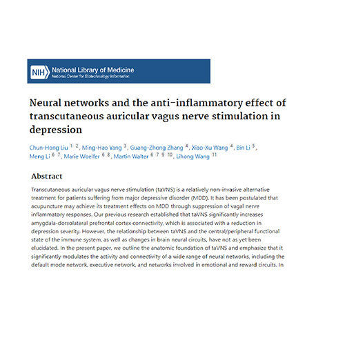 Depression Chung Hong et al 2020