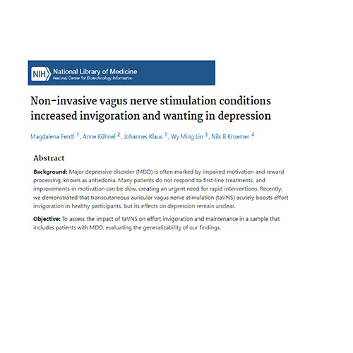 Depression Ferstl et al 2024