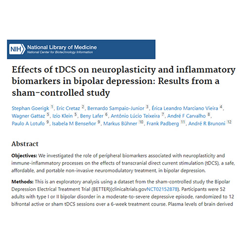 Depression Goerigk et al