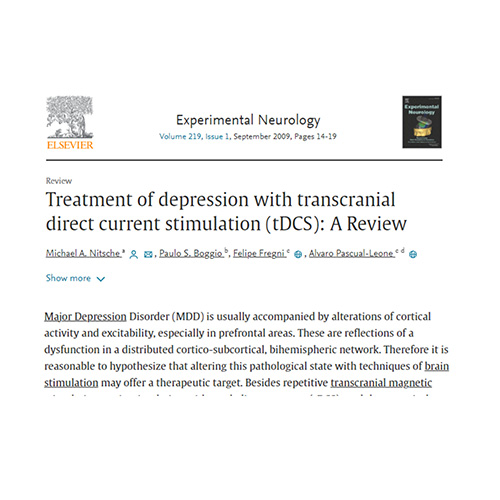 Depression Nitsche et al