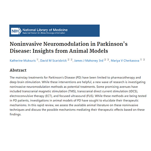 Parkinsons Muksuris et al 2023