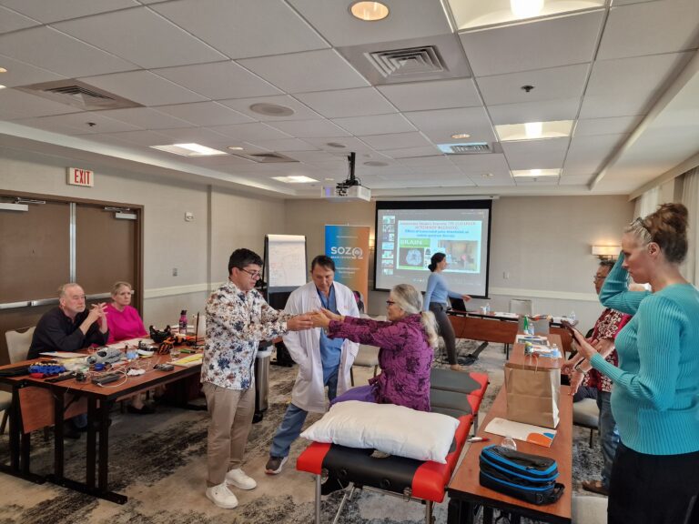 Neuromodulation Workshop 31